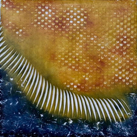 'TEQUILA SUNRISE'