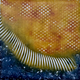 'TEQUILA SUNRISE'